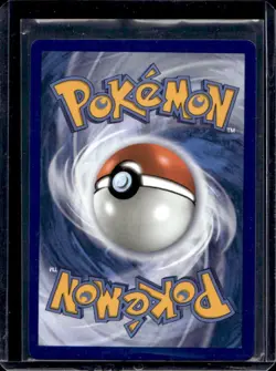 2025 Pokemon Black Star Promos Mega Charizard X ex #023 - Image 2