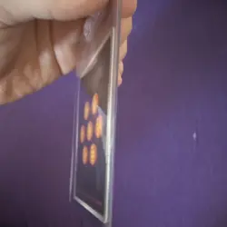 Bandai Dragon Ball Super Son Gohan Childhood FB01-140 SCR Foil Battle Card - Image 4