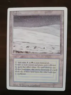 MTG Tundra Revised Edition - NM Condition - Image 1