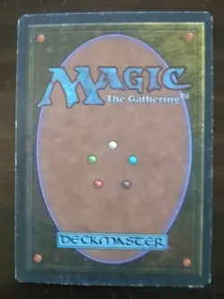 MTG Tundra Revised Edition - NM Condition - Image 2