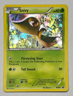 Pokemon TCG - Snivy, BW06, Black & White, Black Star Promo, Holo, LP - Image 1
