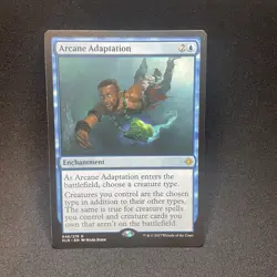 Arcane Adaptation Ixalan LP - MTG - Image 1