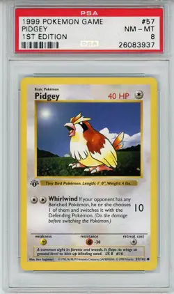 1999 Pokemon 1st Edition Shadowless Base Set #57 Pidgey - PSA 8 NM-MINT - Image 1