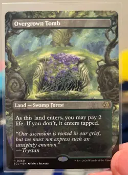 Lorwyn Eclipse MTG Rares Lot - Chronicle of Victory, Formidable Speaker, Steam + - Image 5