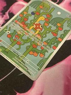 Shuckle 136/132 Mega Evolutions Pokemon Card Near Mint Pokemon TCG - Image 3