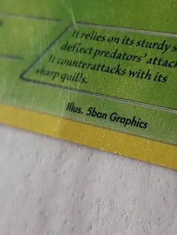 Quilladin 4/39 PL - XY Kalos Starter Set Pokemon Card - $2 Combined Shipping - Image 3