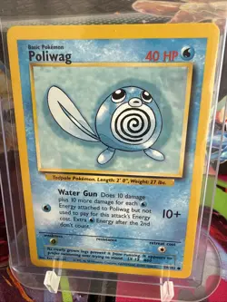 Pokemon TCG Poliwag Base Set 59/102 Never Played, Near Mint! - Image 1