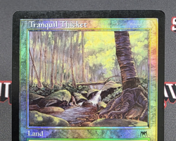 MTG FOIL Tranquil Thicket- DAMAGED -Onslaught Magic the Gathering Card # 326 - Image 3