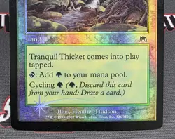 MTG FOIL Tranquil Thicket- DAMAGED -Onslaught Magic the Gathering Card # 326 - Image 4