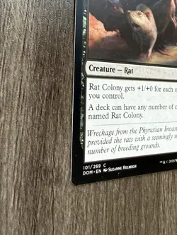 4x Rat Colony Dominaria Regular MTG NM English - Image 3