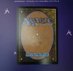 Magic the Gathering-Lorwyn Eclipsed/Selfless Safewright (Showcase) Foil 391 - Image 2