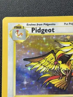 Pokemon Pidgeot 8/64 Holo Rare Jungle Unlimited LP / MP - Image 2