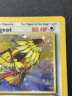 Pokemon Pidgeot 8/64 Holo Rare Jungle Unlimited LP / MP - Image 3