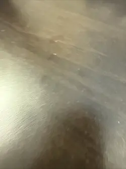 Magic: The Gathering Ghoulish Impetus CMM 0732 Rare Card Commander Masters - Image 2