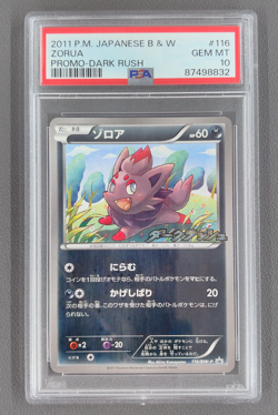 Zorua - 116/BW-P 116/BW-P BW-P Promotional cards Regular Japanese PSA 10 - Image 1