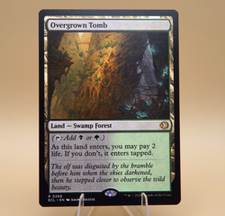 Overgrown Tomb | 266 | Rare | Regular | Lorwyn Eclipsed | MTG - Image 1