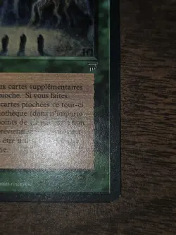 Sylvan Library (French) - "Bibliotheque sylvestre" - Renaissance (REN) - Image 2