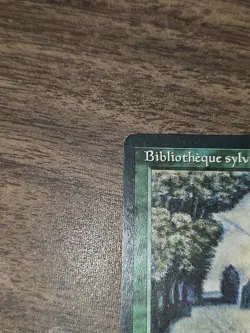 Sylvan Library (French) - "Bibliotheque sylvestre" - Renaissance (REN) - Image 4