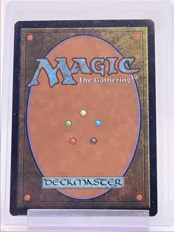 SWAMP 1999 MAGIC THE GATHERING CHINESE PORTAL THREE KINGDOMS COMMON Q3501 - Image 2