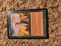 Worldly Tutor Mirage Regular Light Play - Image 1