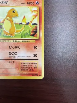 Pokemon Card Japanese Charmander No.004 Base Set Old Back Vintage Nintendo - Image 5
