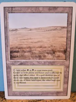 MTG Savannah Land - Forest Plains REVISED EDITION - Image 1