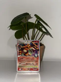 Pokemon TCG Charizard G LV.X DP45 Black Star Promo Card NM Condition - Image 1