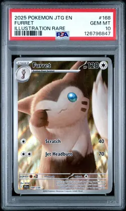2025 Pokemon JTG EN Furret Illustration Rare Holo PSA 10 Gem Mint #168 - Image 1