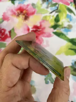 ALLOSAURUS SHEPHERD *FOIL* Borderless Ext Art 2X2 MTG NM/MT Double Masters 2022 - Image 4