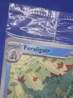 SEALED Pokemon Illustration Contest 2024 Pikachu #214 Feraligatr #213 Toxtricity - Image 2
