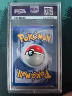 Pokemon TCG Koga's Beedrill #9/132 Gym Challenge (2000) Holo PSA 7 - Image 2