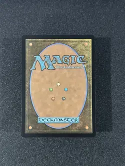 Wan Shi Tong Librarian (0320) Borderless Non Foil MTG Avatar - Image 2