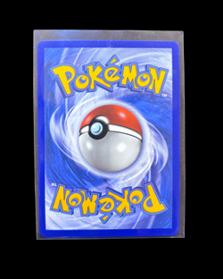 Charizard V SWSH050 SWSH: Sword & Shield Promo Cards Holo - Image 2