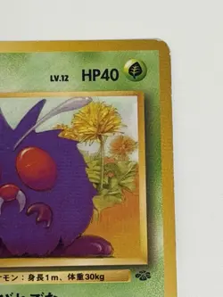 Venonat No.048 Jungle Set vintage old back Japanese Pokemon carf From Japan - Image 3