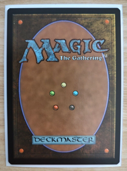 MTG - FOIL - Chulane, Teller of Tales - Throne Of Eldraine (ELD) - Magic - NM - Image 2