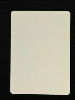 Magic MTG Italian Revised Forest Artist Proof Near Mint - Only 50 Exist! - Image 2