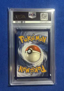2025 Pokemon JTG EN-Journey Together Wailord Illustration Rare PSA 8 #162 - Image 2