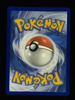 Koraidon 014 Pokemon SV: Scarlet & Violet Promo Cards 🔥🔥🔥 - Image 2