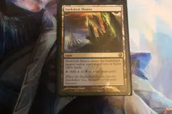 MtG Darkslick Shores - Image 1