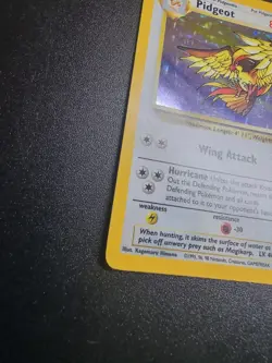 1999 Pokemon TCG Pidgeot Jungle Holo Card 8/64 Unlimited CONDITION VERY GOOD - Image 2