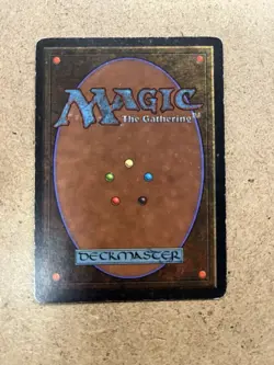 Magic the Gathering Savannah Dual Land - Image 2