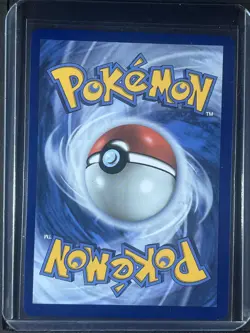 Pikachu V #SWSH143 SWSH: Sword & Shield Promo Cards 250001 - Image 2