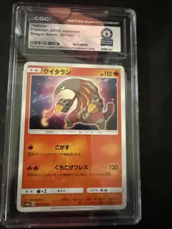 Heatmor World Record Guinness 1/1 Pokemon - Image 1