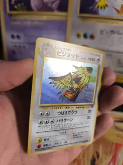 Pokemon Karte Card Tauboss Pidgeot Jungle Dschungel 1997 Holo Wotc japanese NM- - Image 5