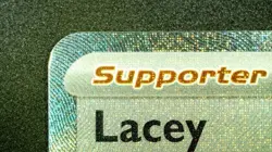 Lacey 175/131 SIR Pokemon Prismatic Evolutions Special Illustration Rare Holo NM - Image 4