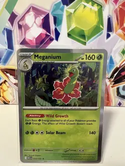 Meganium 010/132 Holo Rare - Pokemon TCG Mega Evolution - NM - Image 1