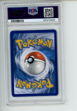 2025 Pokemon Journey Together Wailord 162/159 Illustration Rare PSA 8 NM-MT - Image 2