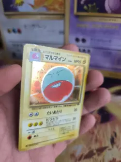 Pokemon Karte Card Lektrobal Electrode Jungle Dschungel Holo Wotc japanese Exc - Image 3