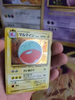 Pokemon Karte Card Lektrobal Electrode Jungle Dschungel Holo Wotc japanese Exc - Image 5