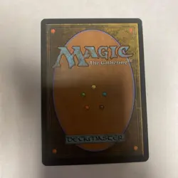 1x Plague Wind Light Play, English 10th Edition MTG Magic - Image 2